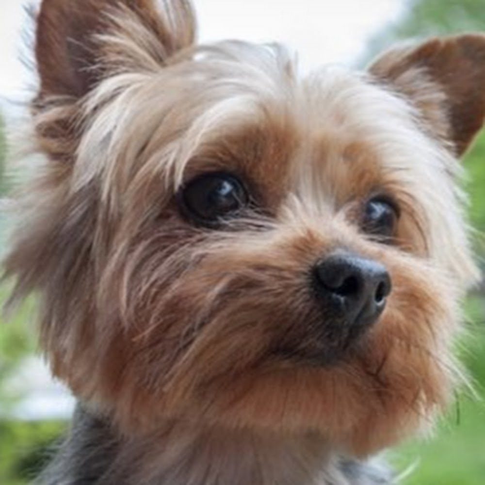 Meet your Posher, Paula